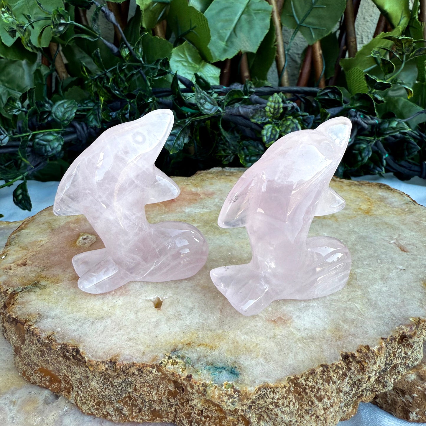 Assorted Carved Dolphins, Fluorite, Amethyst, Strawberry Quarzt