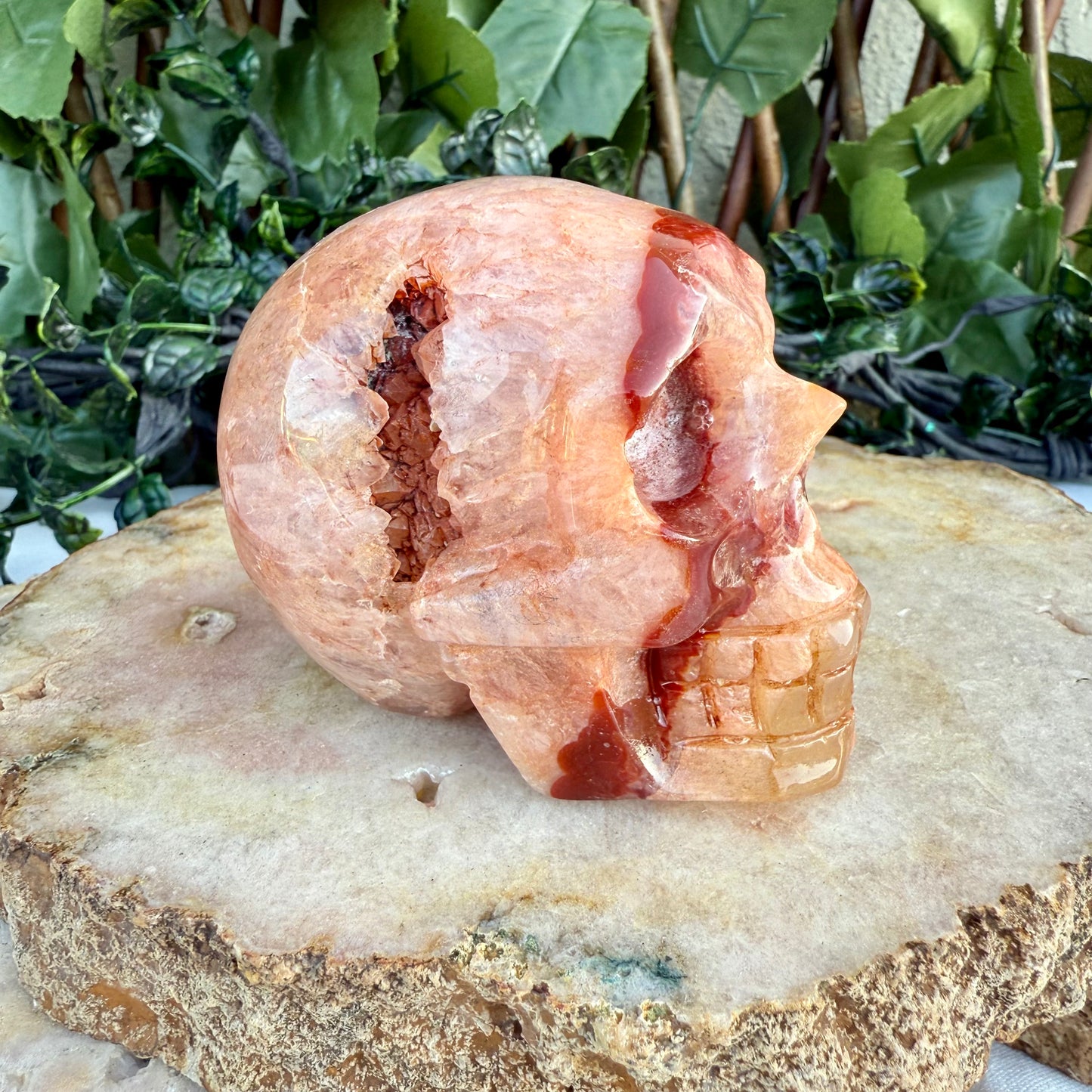Large Druzy Carnelian Skull, Courage, Love & Passion