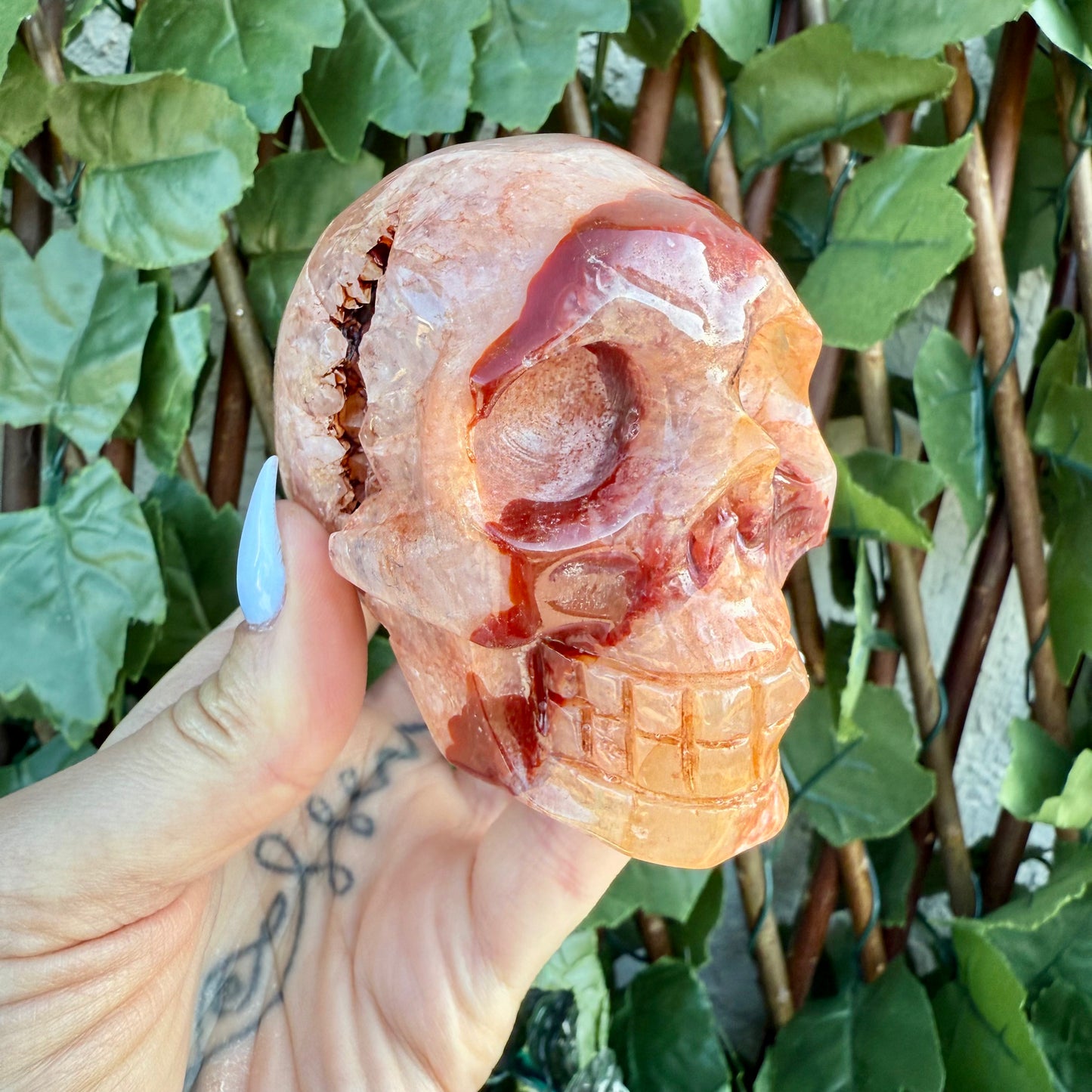 Large Druzy Carnelian Skull, Courage, Love & Passion