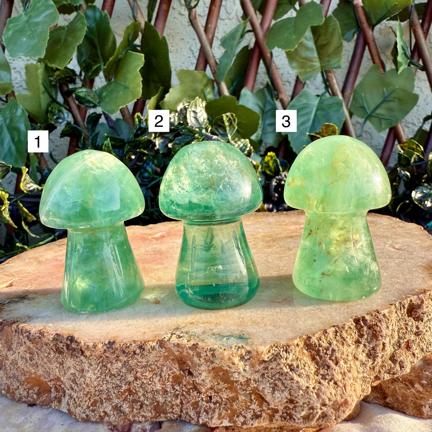 Carved Mushroom, Assorted Crystals, Choose Your Own!