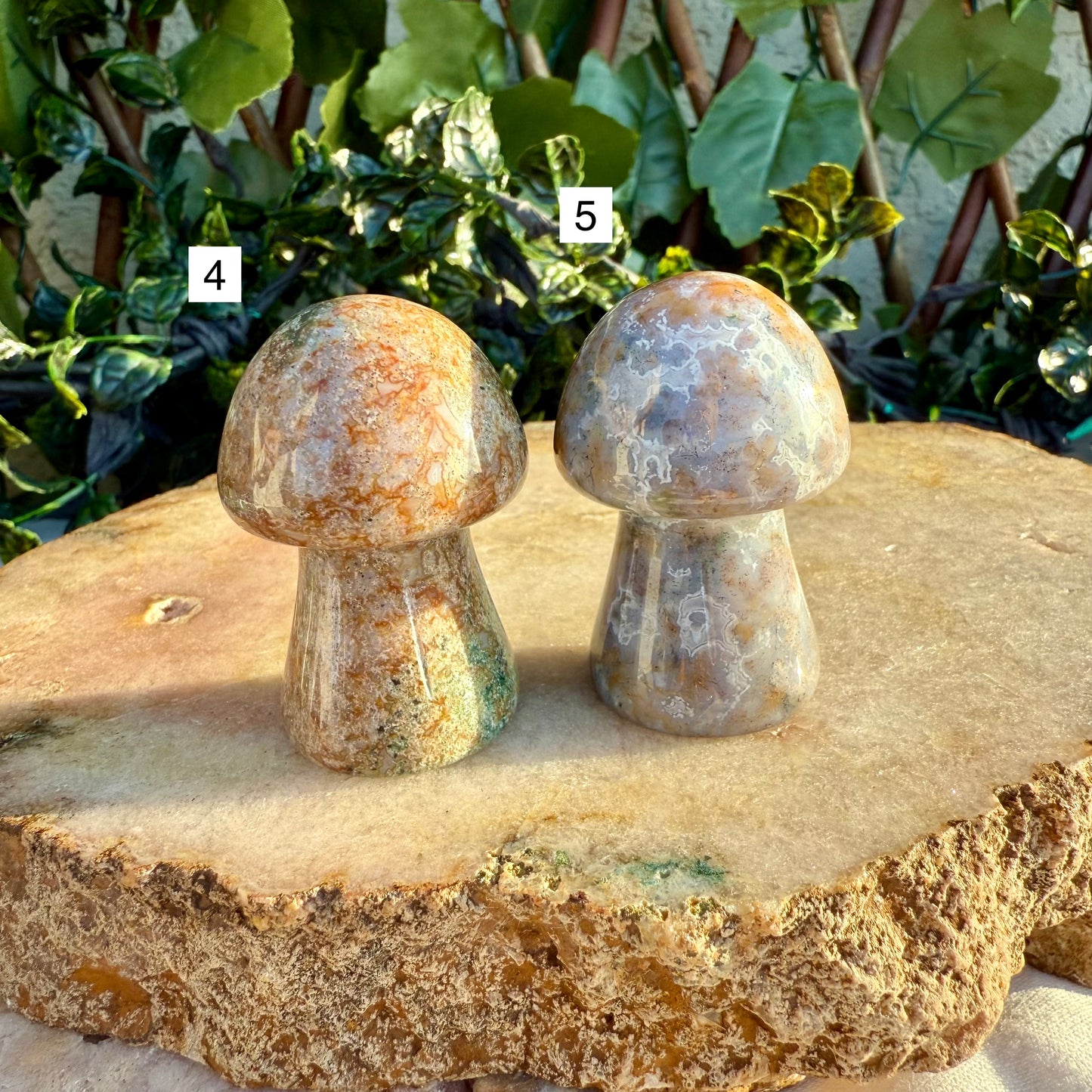 Carved Mushroom, Assorted Crystals, Choose Your Own!