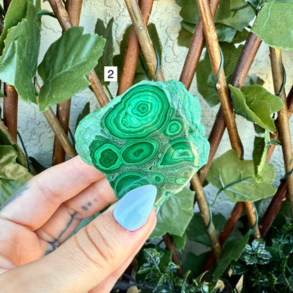 Rare Raw Polished Malachite, Powerful Crystal, Highly Protective