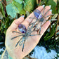 Spider Carved Crystal, Tigers Eye, Dream Amethyst