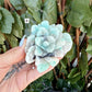 Amazonite Or Moss Agate Lotus Flower, Choose Your Own!