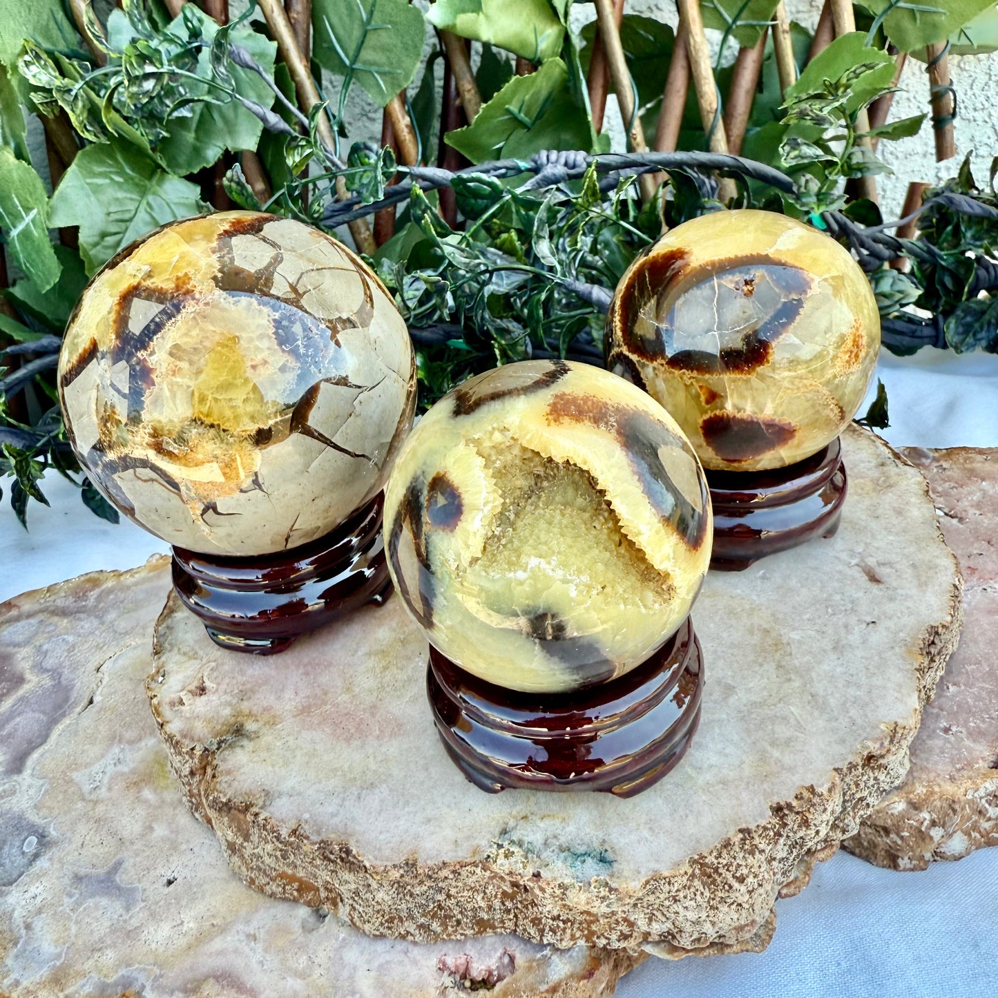 Large Septarian Sphere, Highly Protective, Negativity Stone