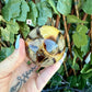 Large Septarian Sphere, Highly Protective, Negativity Stone