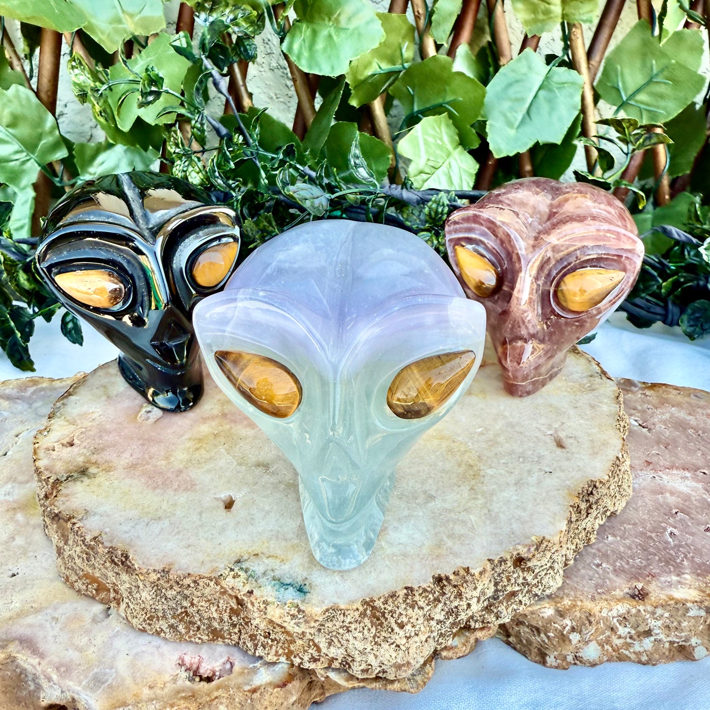Alien Carved Skull, Assorted, Choose Your Own!