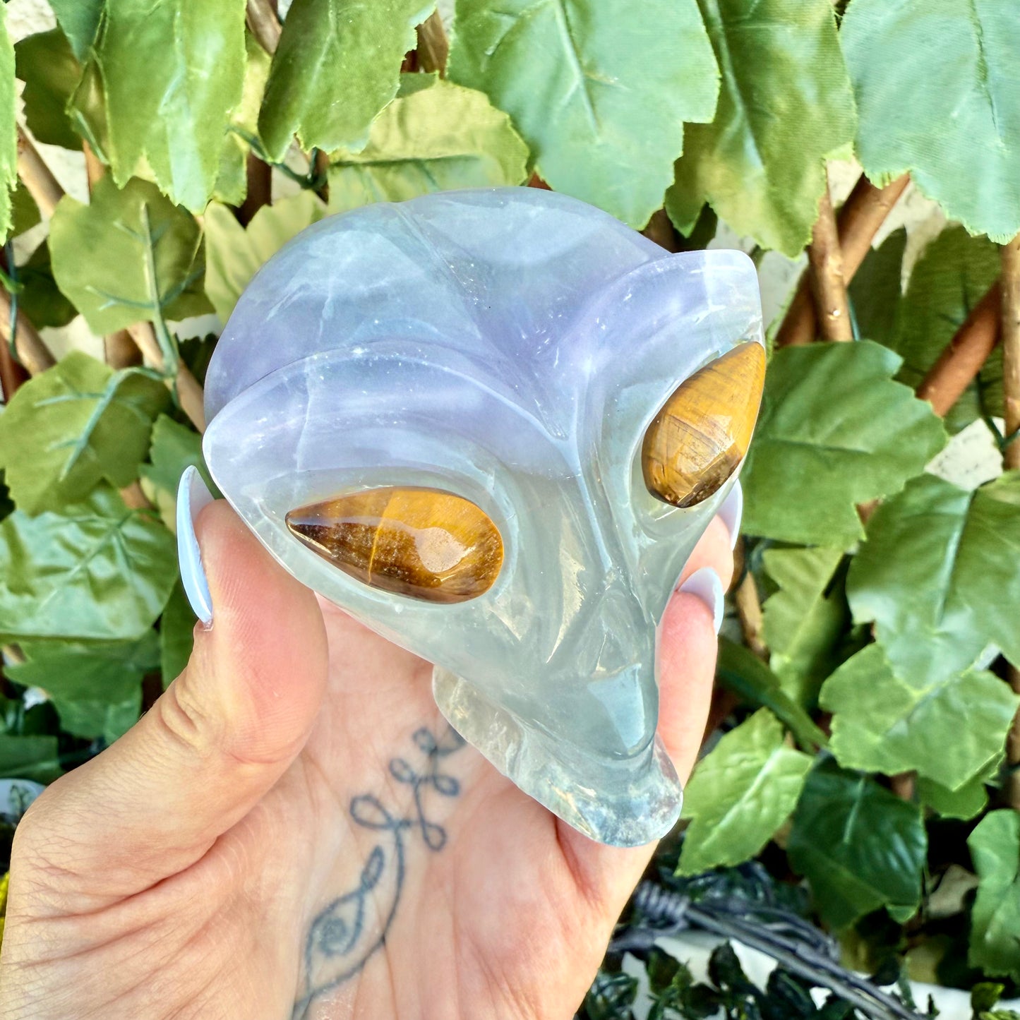 Alien Carved Skull, Assorted, Choose Your Own!