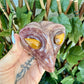 Alien Carved Skull, Assorted, Choose Your Own!