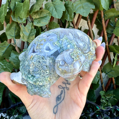 Moss Agate Carved Sea Turtle, New Beginning, Creativity Stone