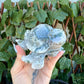 Moss Agate Carved Sea Turtle, New Beginning, Creativity Stone
