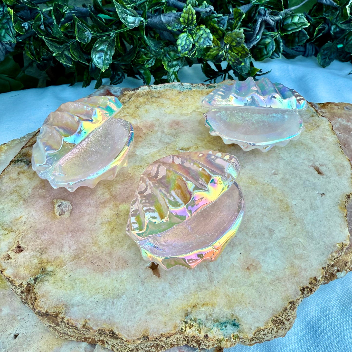 Rainbow Aura Rose Quartz Clams, Self-Love & Healing Crystal