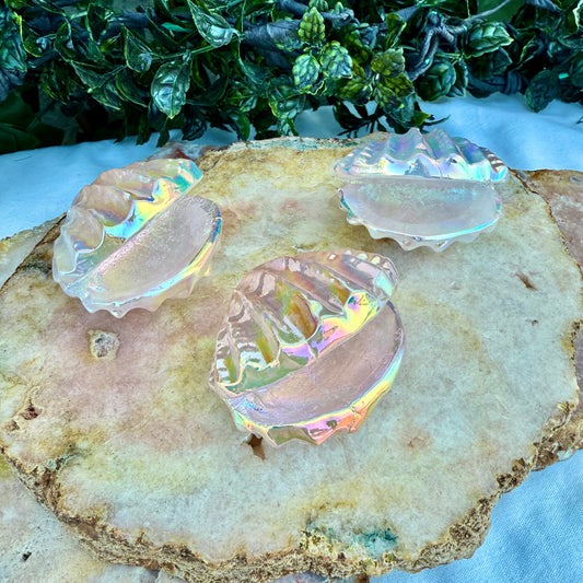 Rainbow Aura Rose Quartz Clams, Self-Love & Healing Crystal