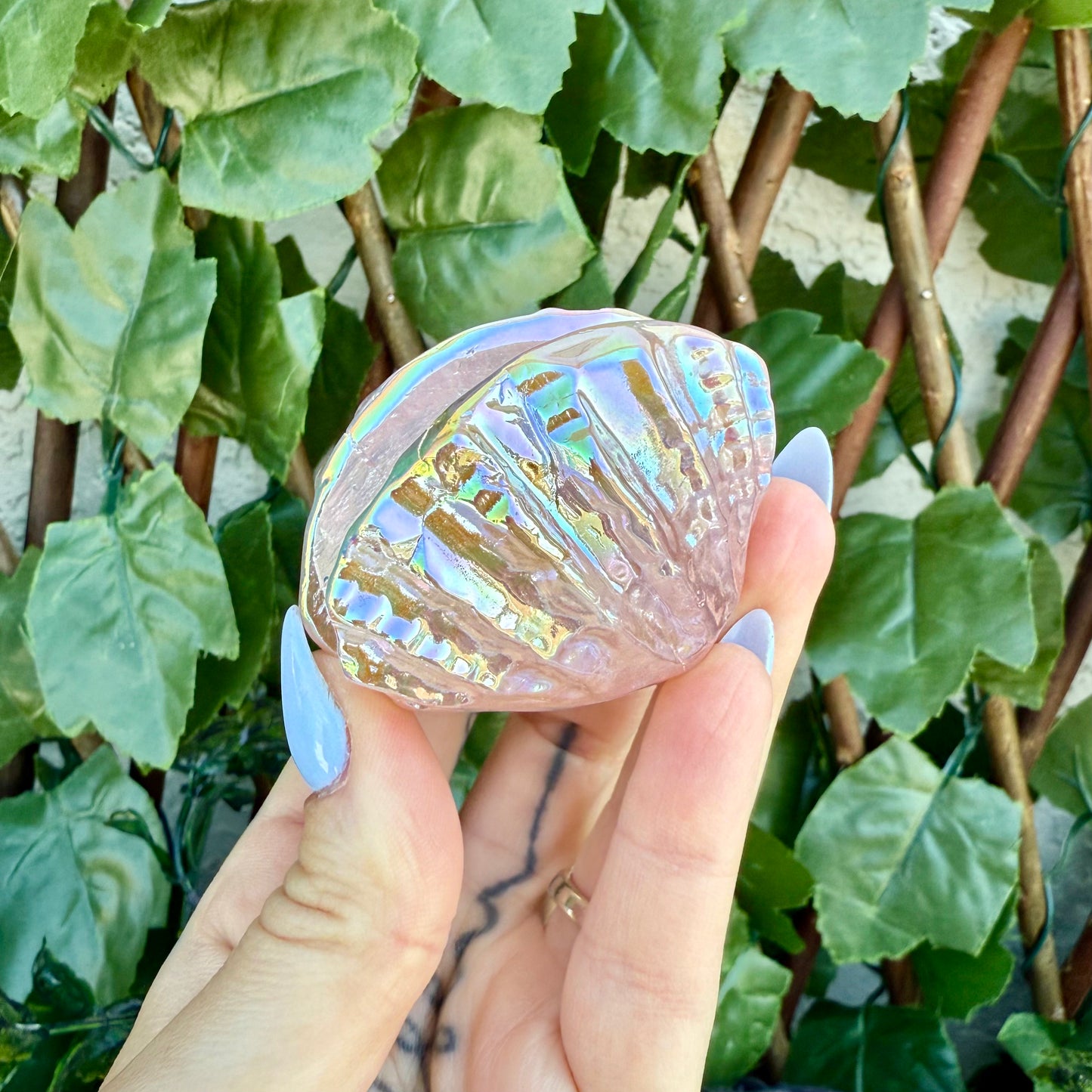 Rainbow Aura Rose Quartz Clams, Self-Love & Healing Crystal