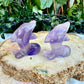 Assorted Carved Dolphins, Fluorite, Amethyst, Strawberry Quarzt