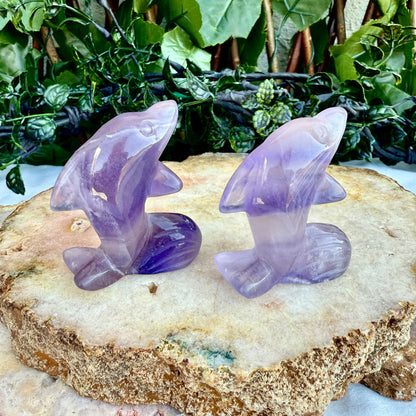 Assorted Carved Dolphins, Fluorite, Amethyst, Strawberry Quarzt