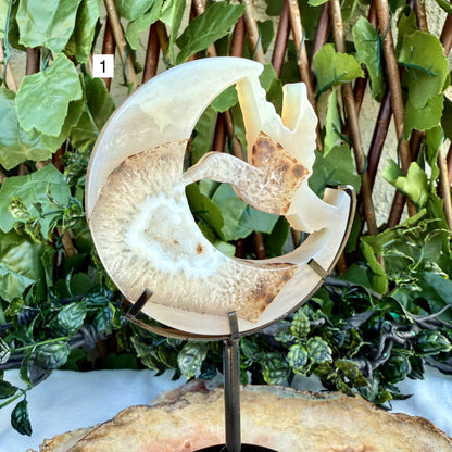 Druzy Blue Agate Carved Hummingbird With Stand, Grounding, Calming & Soothing