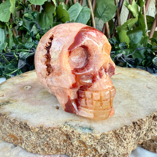 Large Druzy Carnelian Skull, Courage, Love & Passion