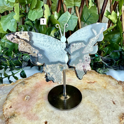 UV Reactive Volcanic Agate Butterfly, Intuition, Grounding Stone