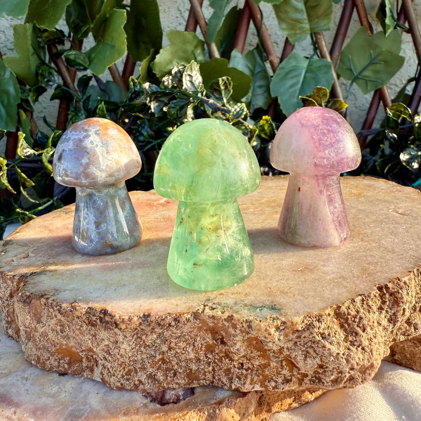 Carved Mushroom, Assorted Crystals, Choose Your Own!