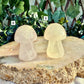 Carved Mushroom, Assorted Crystals, Choose Your Own!