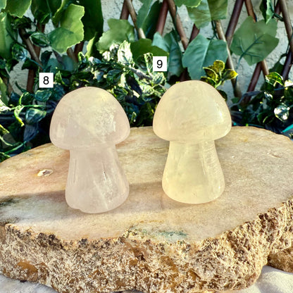 Carved Mushroom, Assorted Crystals, Choose Your Own!
