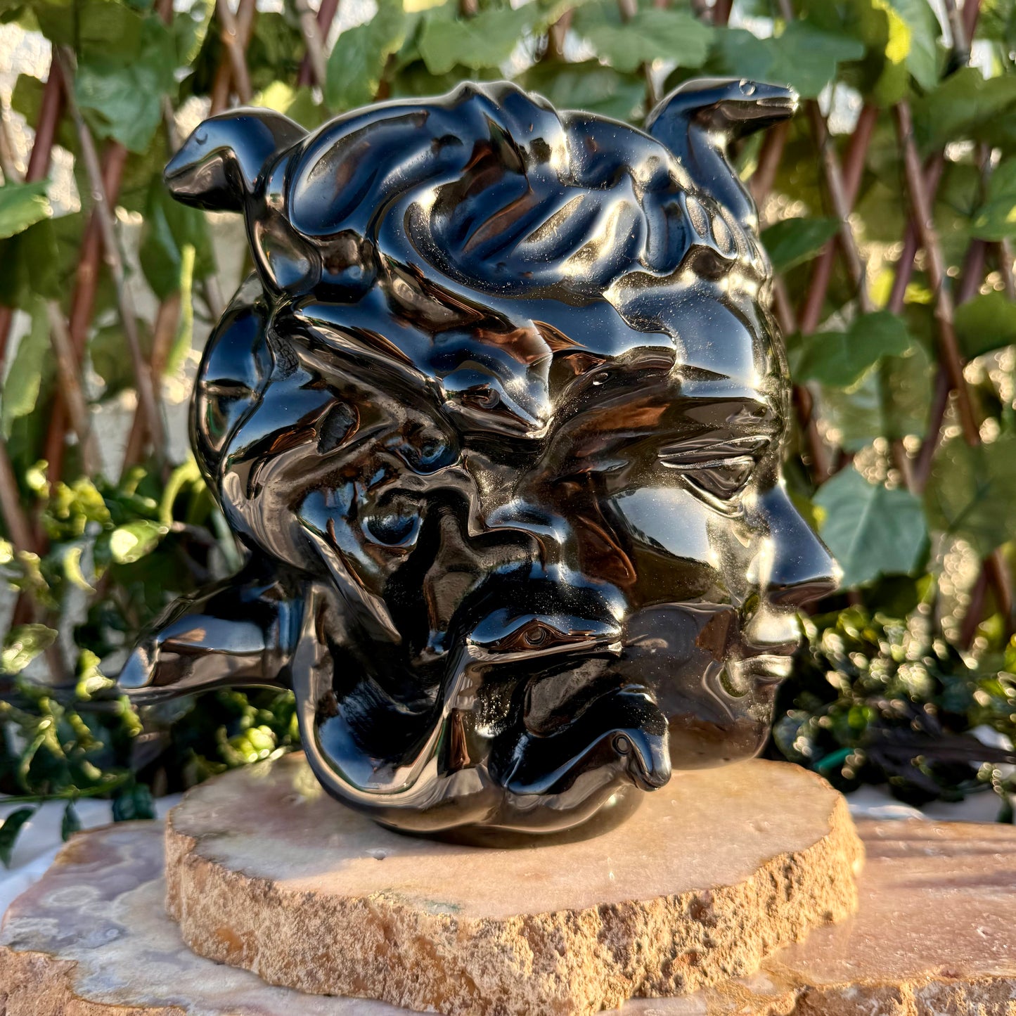 RAFFLE XXL Black Obsidian Medusa Head (ONLY 40 SPOTS AVAILABLE)