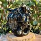 RAFFLE XXL Black Obsidian Medusa Head (ONLY 40 SPOTS AVAILABLE)