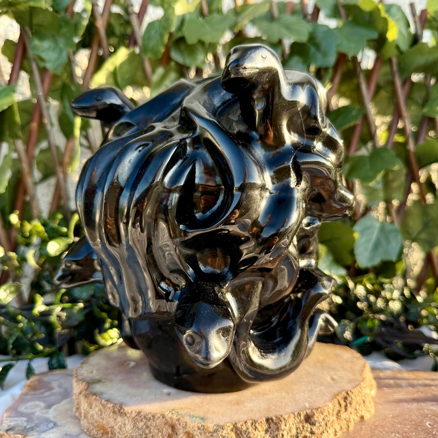 RAFFLE XXL Black Obsidian Medusa Head (ONLY 40 SPOTS AVAILABLE)