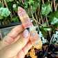 Rainbow Fluorite Tower, Detoxing & Negativity Crystal
