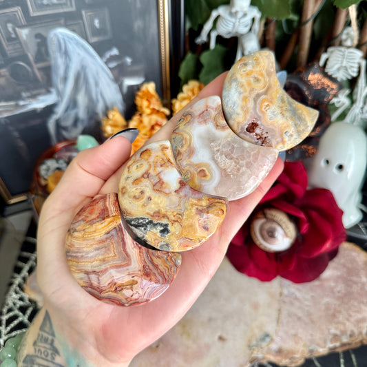 Crazy Lace Agate Crescent Moon, Laughter & Happiness Stone