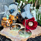 Black Onyx & Quartz Crescent Moon,  Protection & Master Healer Crystal