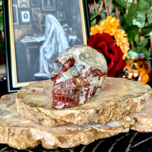 Druzy Mexican Crazy Lace Agate Skull, Laughter & Happiness Stone
