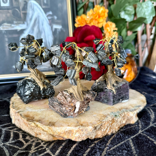 Black Tourmaline Crystal Tree, Protection Stone, Cleansing Stone