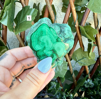Rare Raw Polished Malachite, Powerful Crystal, Highly Protective