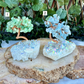 Rainbow Aura Crystal Chip Tree, Assorted, Choose Your Own!